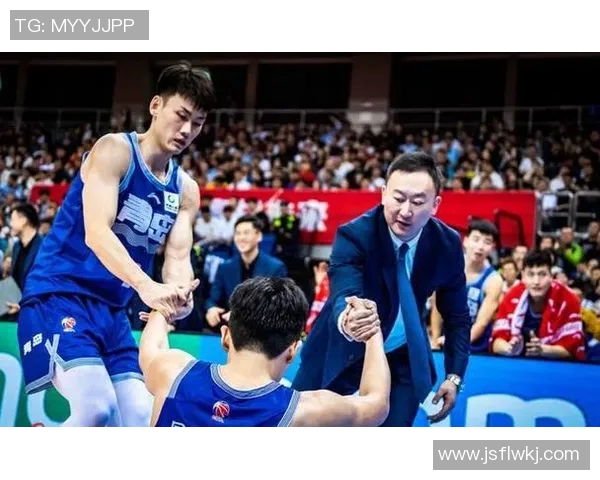 CBA球队教练战术思路解析及球队表现影响因素研究